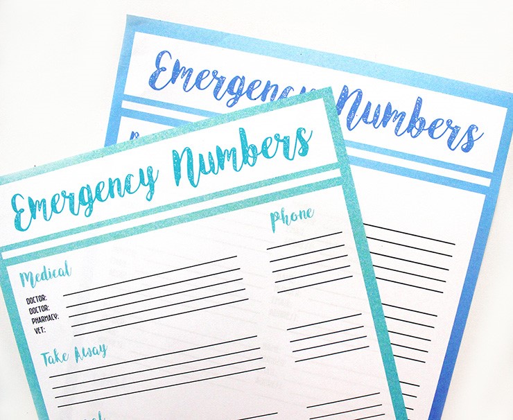Vendor/Volunteer Contact Checklist